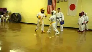 Ethan Karate yellow belt 2