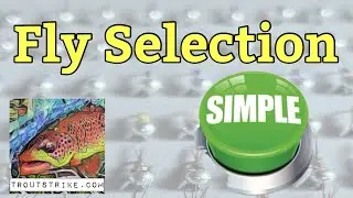 What Flies Should I Use When Getting Started in Euro Nymphing?