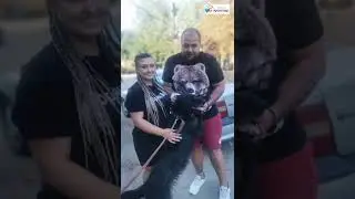 Наша Джина дождалась!