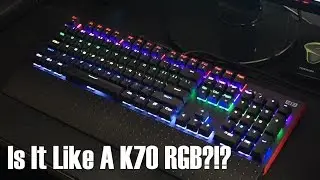 $80 Corsair Like Keyboard?!?