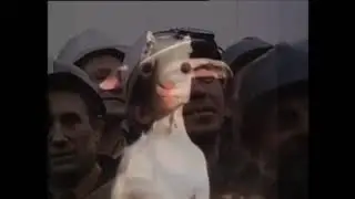 Goat standing up with the USSR anthem on the background