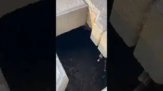 В Южно-Сахалинске провалилась плитка на тротуаре, а под ней оказался огромный провал