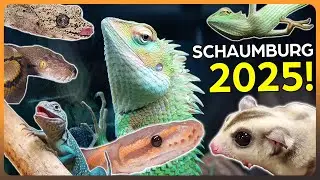 Walkthrough the ENTIRE Schaumburg NARBC 2025 Reptile Show!