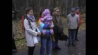 45 лет
