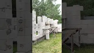 А где Сергей Степанович? #shorts