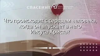 «Что происходит с сердцем человека, когда он впускает в него Иисуса Христа?» Иван Тупиков 08.09.2024
