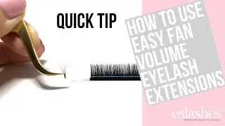How To Use Easy Fan Volume Lashes 