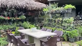 Exploring Ella Flower Garden Hotel | Sri Lanka