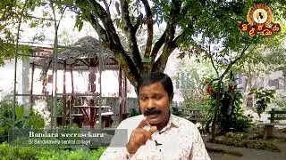 පුරාතන ගද්‍ය අගුල් මල් දමනය