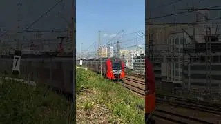 Ласточка и Демиха в релакс-видео #spotting #train #fyp #релакс #лето #поезда #relax #summer #train