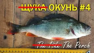 Ловля Щуки (окуня) - Real Pike fishing #4