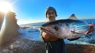 Rock Fishing for Bonito & Tailor 150m From My House - Fishing Australia