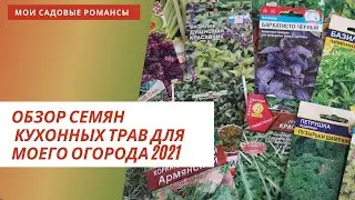 Обзор семян кухонных пряностей . Даже привортную траву можно посеять.