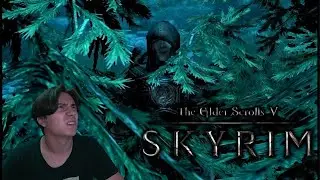 НЕ САМЫЙ УВЕРЕННЫЙ В СЕБЕ ГРАБИТЕЛЬ | TES V: Skyrim #11