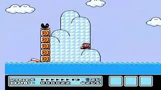 Nivel Kaizo Experto De SMB3 (Super Riff Bros 3)