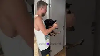 У коты тоже так делают?🙀 как Сева в этом видео? Решила показать немного нашего лайва😍