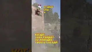 Когда тебя рейдят по наводке твоего соседа #rust  #shorts  #shortvideo