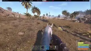 rust vibes