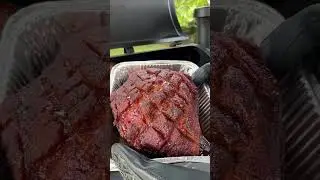 #SHORTS Pulled Pork on the Pit Boss Sportsman | Pit Boss Grills