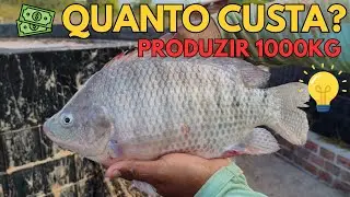 How much does it cost to produce 1000kg of tilapia?