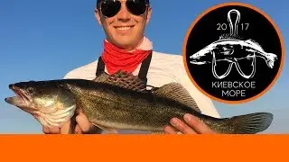 Frenzied biting of the Jier at Kyiv sea. Large zander and perch bend St. Croix in arc!