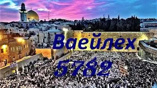 Ваейлех 5782 Глава Торы