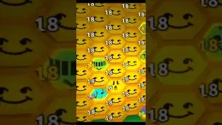 42 Honey Bees VS. Coconut Crab 