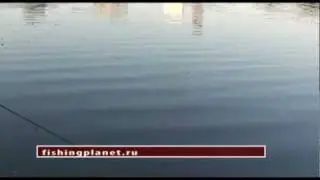 Yo-zuri 3D Popper. Энциклопедия воблеров на видео