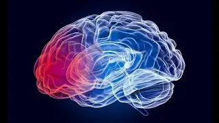 Head Trauma - TBI