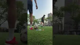 Untitled video