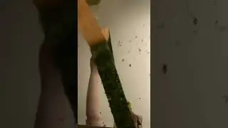Украшаем зеркало в стиле goblincore 🍄🐸|goblinstetick 🎠