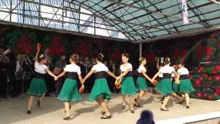 20161106 Zaim Festivalul ,,Copacel''2016