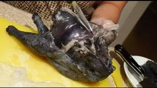 Ternyata 3 dari 9 makanan termahal di dunia ini berasal dari Indonesia