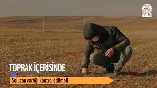 Sağlıklı Toprak Hareketi-Toprağım Sağlıklı Mı?