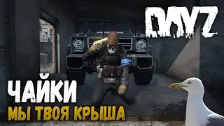 МЫ ТВОЯ КРЫША (РП ЧАЙКИ) | DayZ 1.06