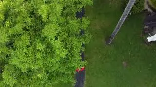 Mavic Mini 60fps