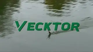 Vecktor Spinning Rod Series Review