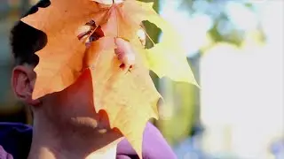 autumn fall