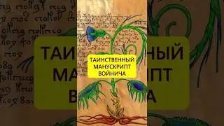Рукописный Эверест. Тайны манускрипта Войнича 