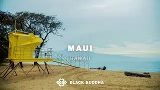 Maui: A Laid-Back Classic For Ultimate Adventures