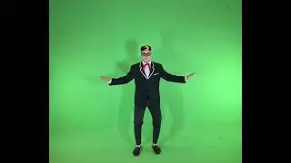 Дядюшка Стэн на зелёном фоне,  футаж,  хромакей