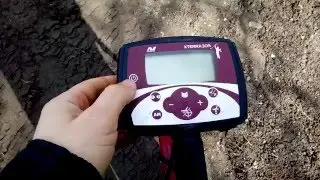 проблема с MINELAB X-TERRA 305