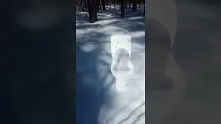 Скибиди туалет в реальной жизни стоп кадр