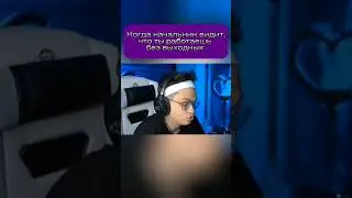 Когда Заказчик Видит, Что Ты Работаешь Без Выходных #shorts