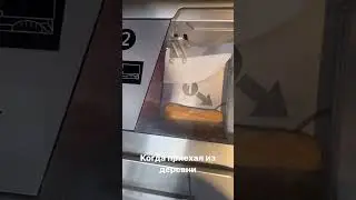 Когда приехал из Деревни