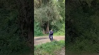 Цзю сюань лун мэнь пай. Лун мэнь гунь фа. Дуй дуань гунь. Дань ши.