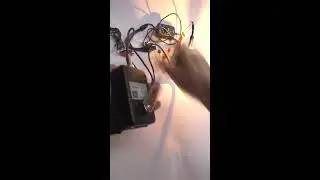 🌑 Ручной электрогенератор 30W 0-28V Когда нет света Hand Dynamo Generator  