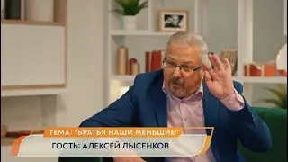 АЛЕКСЕЙ ЛЫСЕНКОВ // ТОЛСТАЯ LIVE 12 МАЯ 20:00
