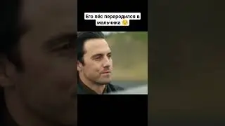 Его пёс переродился в мальчика ☺️ #фильмы #кино #рек #фильм
