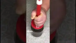 Настойка на МАКАДАМИИ (Ссылка на полное видео в описании) 
